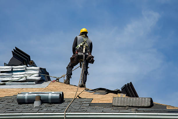Professional Roof Replacement technician working in Harmony, MN